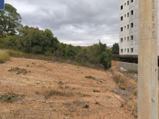 #254 - Terreno para Venda em Poços de Caldas - MG - 3